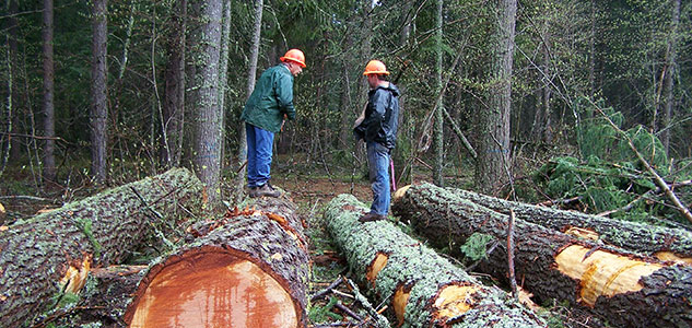 Natural-Resource-Stewardship-Woodruffs