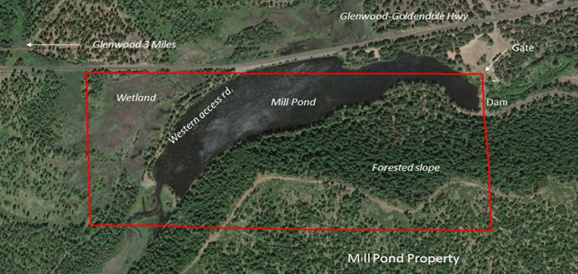 Mill Pond Map